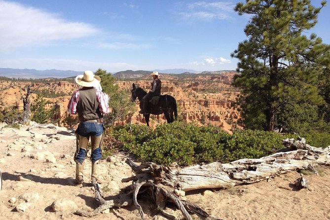 Horseback Riding Experience through Red Canyon with a Guide - Key Things I’d Plan Around Before You Go