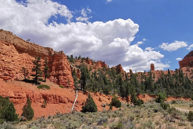 Horseback Riding Experience through Red Canyon with a Guide - Your Guide and Horse: The Real Secret to Feeling Comfortable