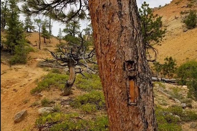 Horseback Riding Experience through Red Canyon with a Guide - The Butch Cassidy Connection You’ll Hear While Riding