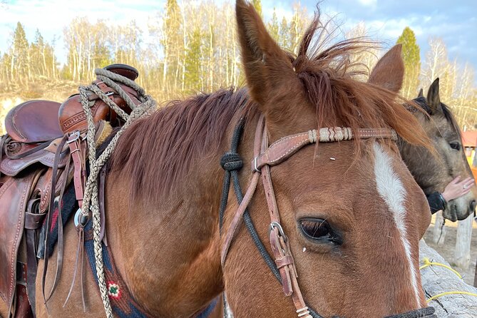 Horseback Riding with Grand Teton Views in Jackson Hole - Grand Teton views: where the guide’s photo stops earn their money