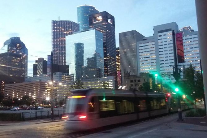 Houston City Tour 2.5-hour Van Tour - Museum District Orientation and Brochures You Can Actually Use