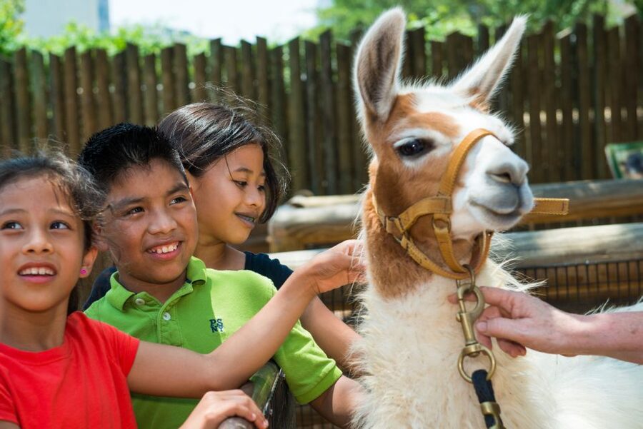 Houston CityPASS®: Save up to 51% at 5 Top Attractions - Choosing your animal day, Zoo options and what’s actually included