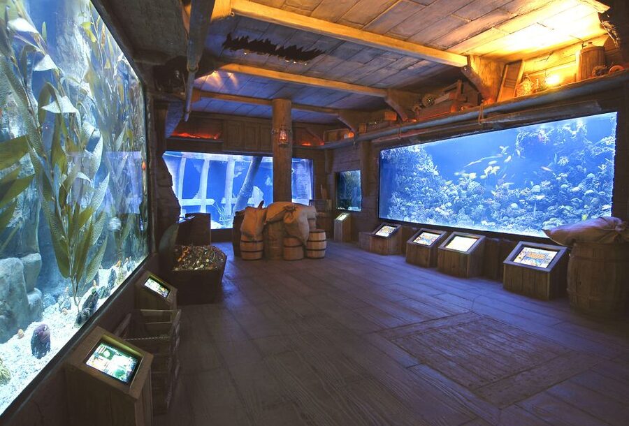 Houston CityPASS®: Save up to 51% at 5 Top Attractions - Downtown Aquarium vs Houston Museum of Natural Science, pick your science flavor