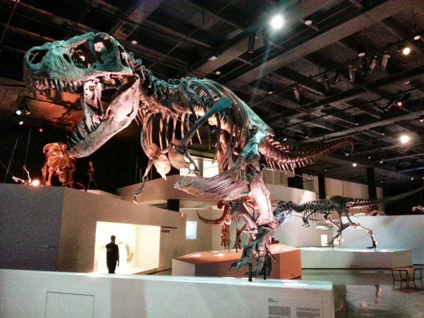 Houston CityPASS®: Save up to 51% at 5 Top Attractions - Children’s Museum of Houston, a kids-only ticket reality