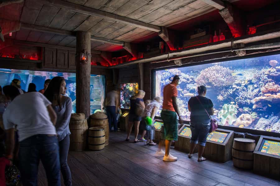 Houston: Downtown Aquarium All Day Pass - Downtown Aquarium Houston, what the all-day pass covers