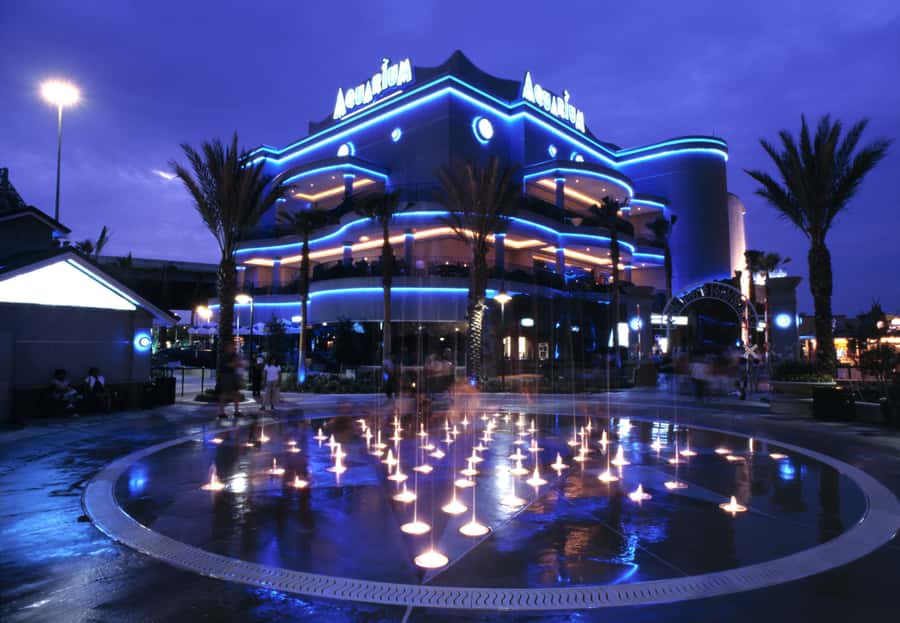 Houston: Downtown Aquarium All Day Pass - Eight themed aquarium zones, where to go first