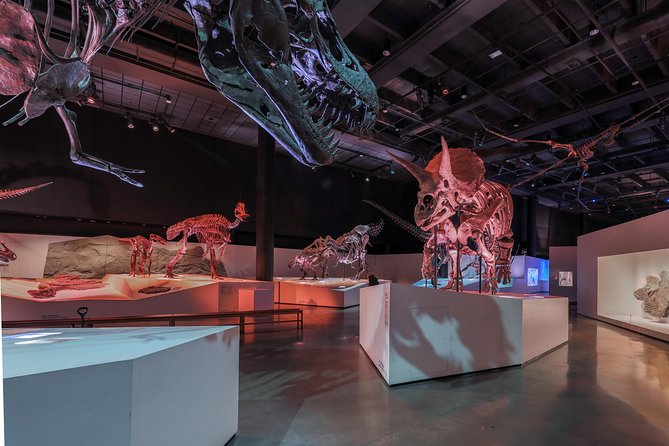 Houston Museum of Natural Science General Admission - Getting In Across From Hermann Park