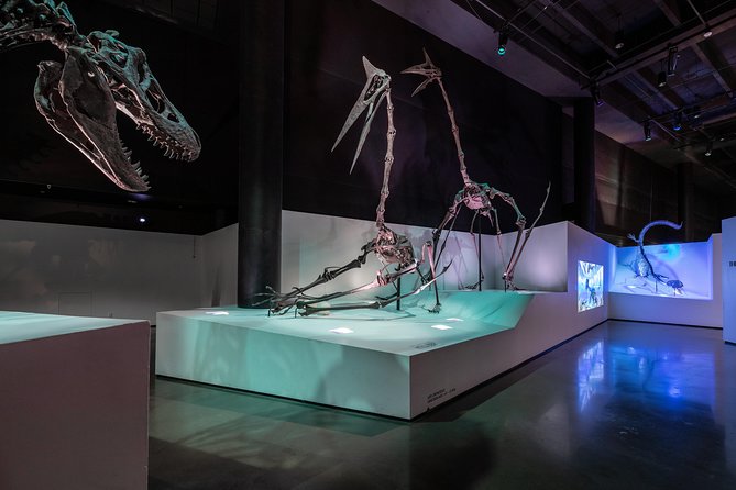 Houston Museum of Natural Science General Admission - Price and What Your General Admission Covers (and Does Not)