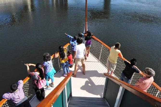 Hudson River Sightseeing Cruise from Albany - Wildlife Spotting: When Eagles Make the Trip Feel Extra Worth It