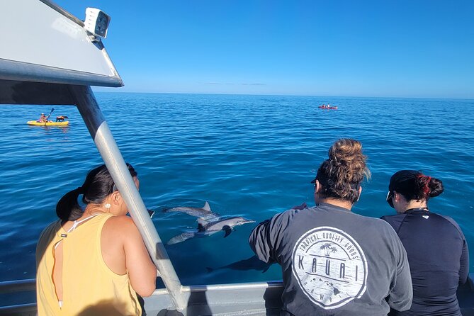 'Imiloa Express Nā Pali Snorkel Tour - Getting to Nā Pali: Sea Caves, Waterfalls, and Dolphin Chances