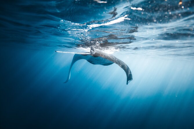 'Imiloa Express Nā Pali Snorkel Tour - Who This Tour Fits Best