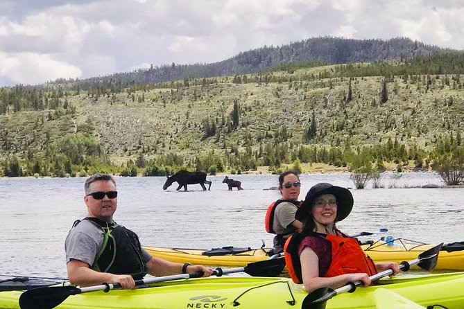 Island Kayak Tour Experience in Frisco - What the guides actually do (and why your pace stays friendly)