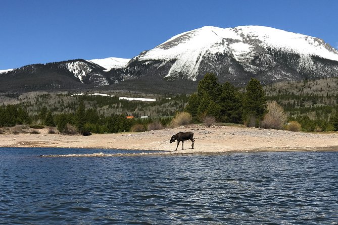 Island Kayak Tour Experience in Frisco - Breckenridge and Frisco after the paddle: what to do in the same area