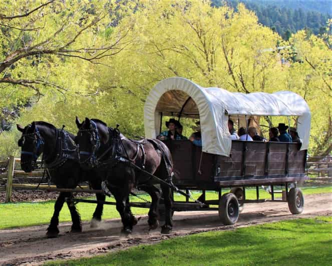 Jackson: Chuck Wagon Cookout and Live Show - Best Fit: Who This Chuck Wagon Night Works For