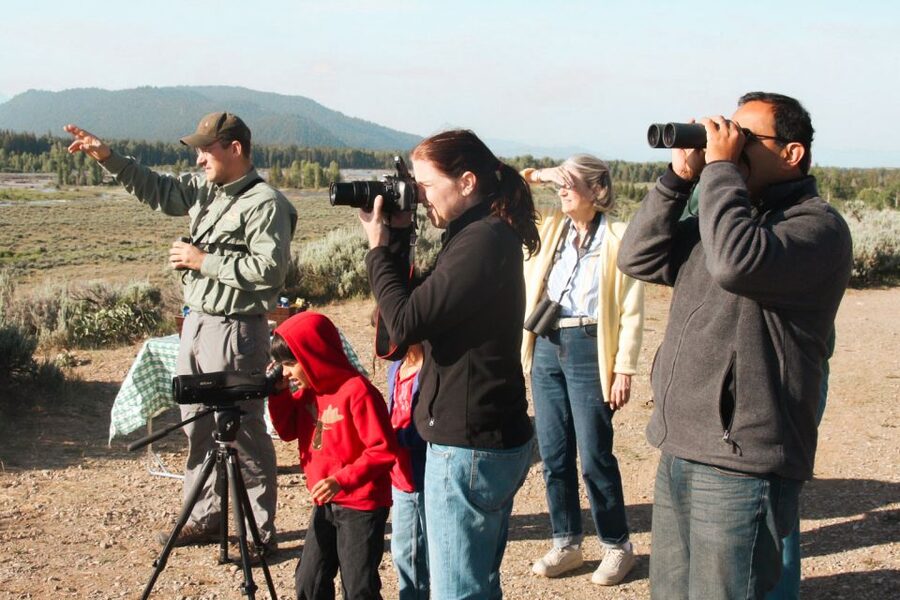 Jackson: Grand Teton National Park Guided Wildlife Tour - Stop-by-stop: what the 4 hours usually feels like