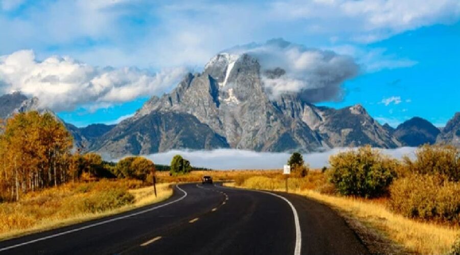 Jackson: Grand Teton National Park Guided Wildlife Tour - Price and value: is $159 worth it?