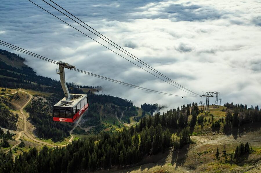 Jackson Hole: Aerial Tram and Gondolas Sightseeing - Price Value at Around $55, What You Really Get