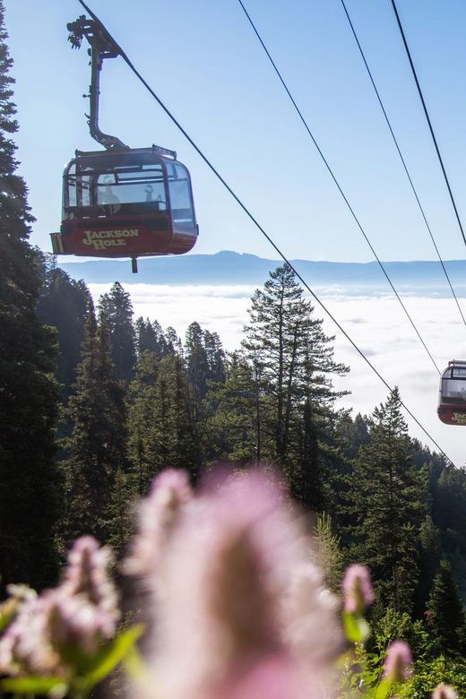 Jackson Hole: Aerial Tram and Gondolas Sightseeing - Grand Teton Skywalk: The Photo Stop That Changes Your Perspective