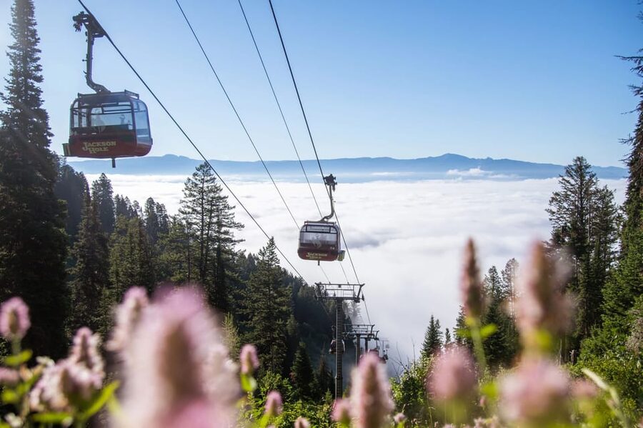 Jackson Hole: Aerial Tram and Gondolas Sightseeing - Summit Trails and Park Connections, Easy Wander Options