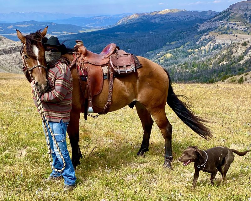 Jackson Hole: Bridger-Teton National Forest Horseback Ride - The intro lesson: what you actually need to learn