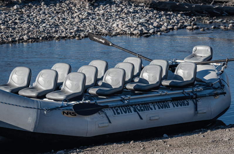 Jackson Hole: Snake River Scenic Float Tour with Chairs - Wildlife spotting: how the guide turns luck into better odds
