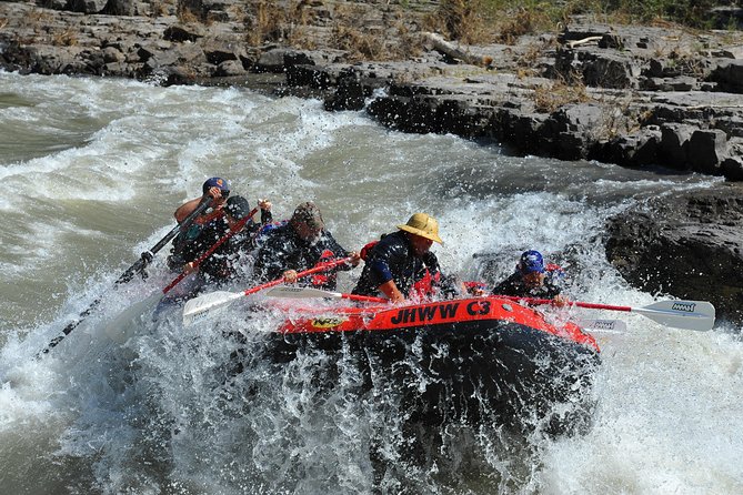 Jackson Hole Whitewater Rafting Classic from Jackson Hole,Wyoming - Guides Who Tell Stories, Spot Wildlife, and Keep You Listening