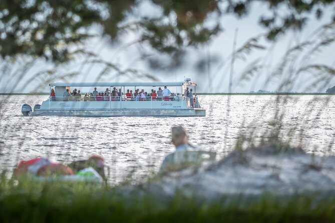 Jekyll Island Dolphin Tours - Wildlife Beyond Dolphins Manatees, Turtles, and Birds