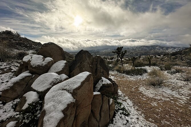 Joshua Tree National Park Self-Guided Driving Audio Tour - Starting at Joshua Tree Visitor Center, then letting the audio lead