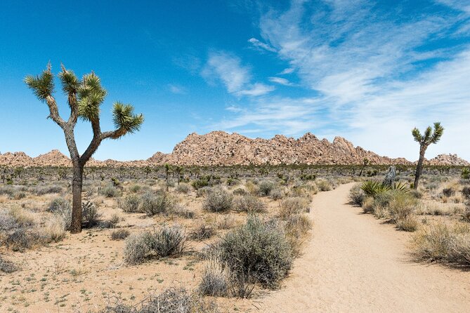 Joshua Tree National Park Self-Guided Driving Audio Tour - Sky’s The Limit Observatory and Nature Center for stars, not just stones