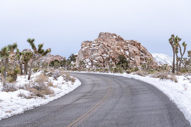Joshua Tree National Park Self-Guided Driving Audio Tour - Oasis Visitor Center and the option to keep going past the main route