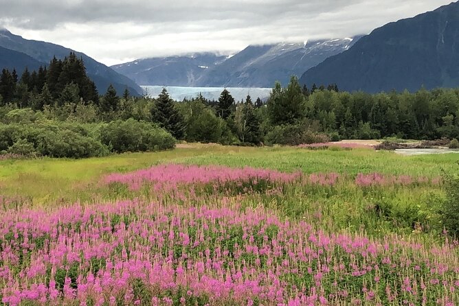 Juneau Private 3 Hour Scenic Road Trip - Stop 3: Mendenhall Glacier viewpoints near Brotherhood Bridge