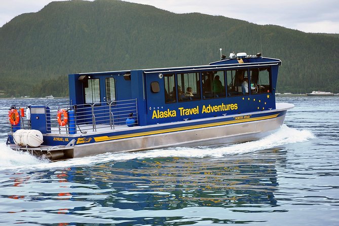 Juneau Whale Watching Adventure - Whale spotting in practice: how the guarantee works
