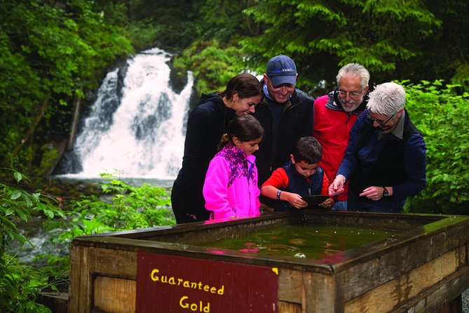 Juneau Whale Watching and Salmon Bake - Who this tour suits best