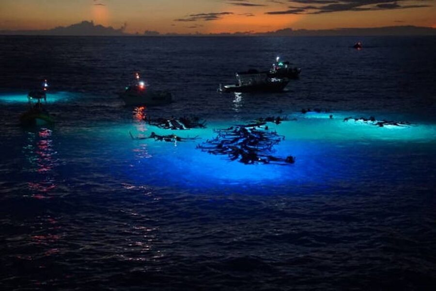 Kailua-Kona: Manta Ray Watching Nighttime Boat Trip - Key Things That Make This Night Trip Worth It