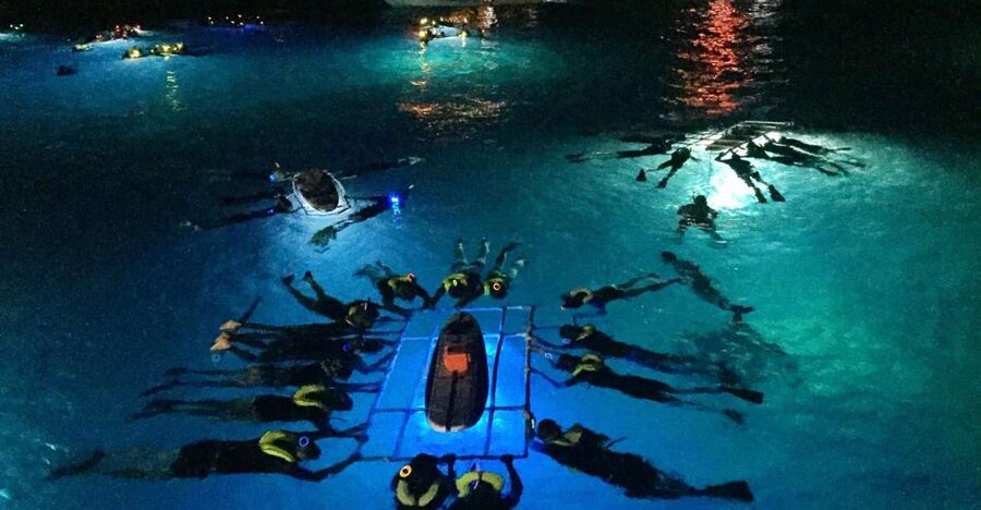 Kailua Kona: Night Manta Ray Adventure on the Big Island - Kona’s night manta rays: what makes this tour special