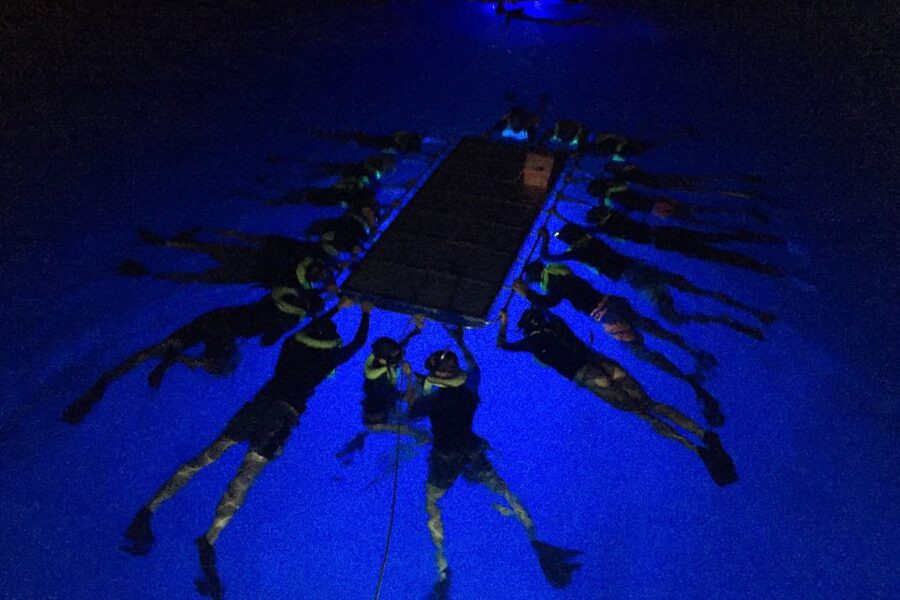 Kailua Kona: Night Manta Ray Adventure on the Big Island - What the crew actually does with you in the water