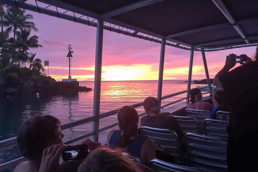 Kailua Kona: Night Manta Ray Adventure on the Big Island - Who this tour suits best, and who should skip it