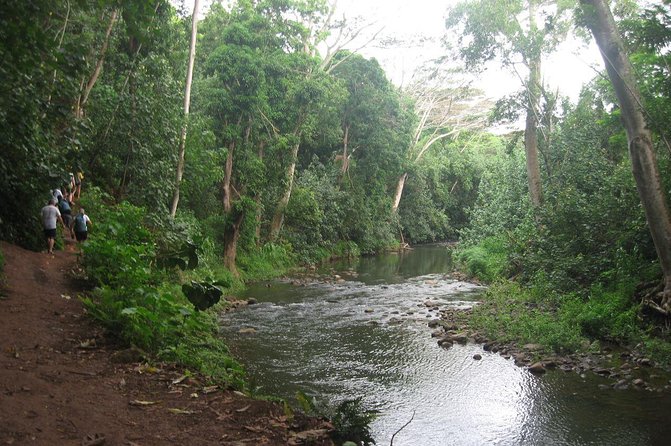 Kauai Adventure: Kayak & Hike to Secret Falls with Expert Guide - What this tour is really like on Kauai’s Wailua River