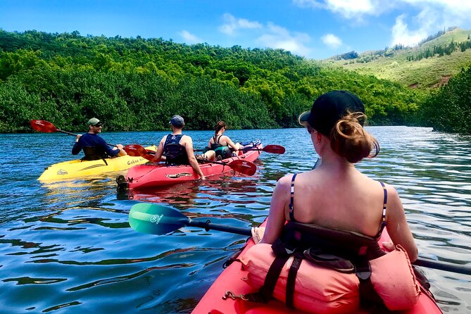 Kauai Adventure: Kayak & Hike to Secret Falls with Expert Guide - Stop-by-stop: where the time goes and what to expect