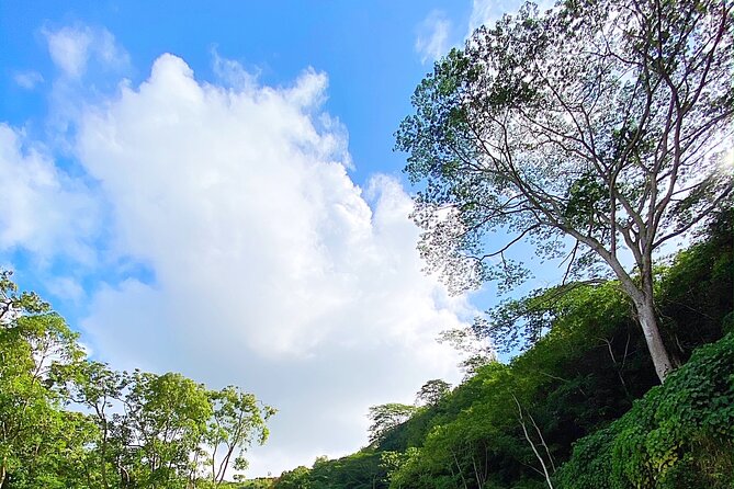 Kauai Adventure: Kayak & Hike to Secret Falls with Expert Guide - The physical effort: what moderate really means here
