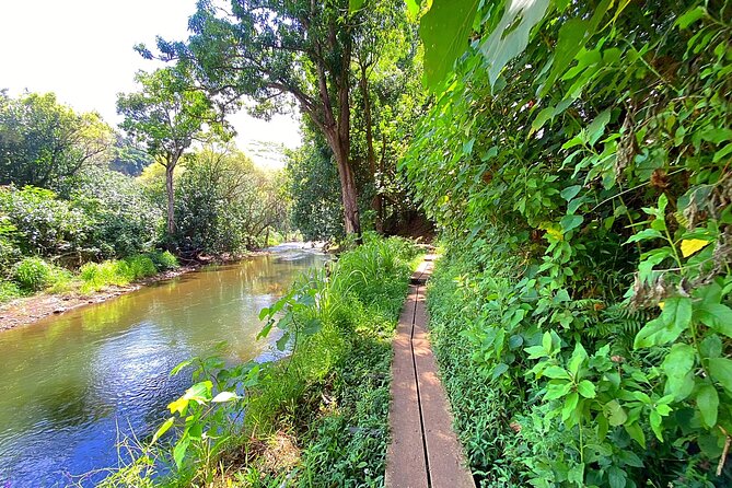 Kauai Adventure: Kayak & Hike to Secret Falls with Expert Guide - Price and value: $140 for a real half-day adventure