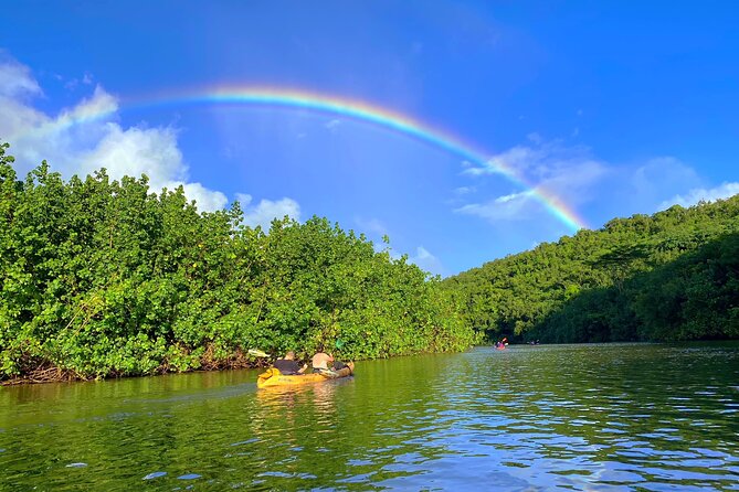 Kauai Adventure: Kayak & Hike to Secret Falls with Expert Guide - Who should book this and who should skip it