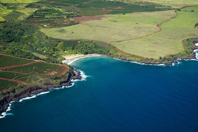 Kauai Airplane Tour: Na Pali Coast, Waterfalls & Window Seats - Mount Wai’ale’ale: The Rainiest Place on Earth, Visible as a Weather Story