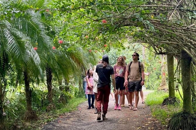 Kauai Chocolate Farm Tasting Tour - Kauai Chocolate Farm Tasting Tour: what 3 hours feels like