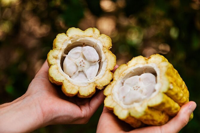 Kauai Chocolate Farm Tasting Tour - Practical tips before you go (what to plan around)