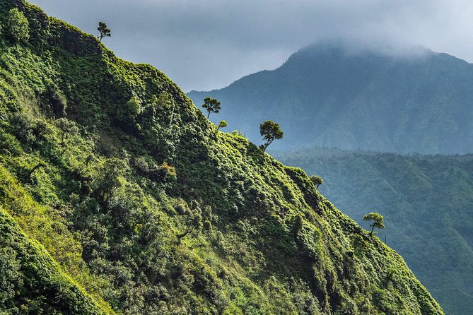 Kauai Eco Adventure Helicopter Tour - Waimea Canyon and Olokele: The Grand Canyon of the Pacific