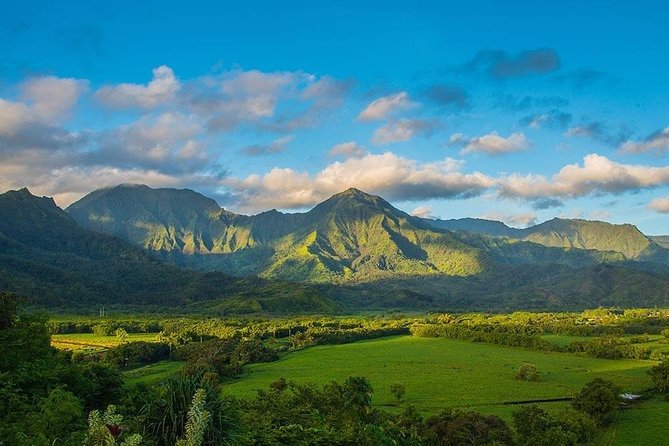 Kauai Highlights & Movie Sites - Opaekaa Falls: 151 Feet, Highway Lookouts, and Film Credits