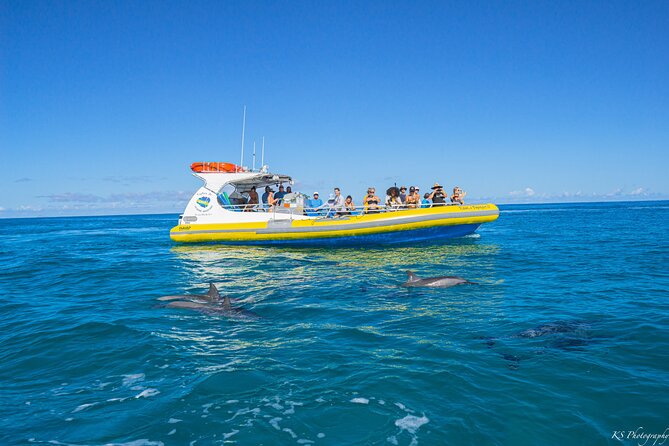 Kauai: Na Pali Coast Super Raft Snorkel Adventure - Niihau and Polihale State Park: The Views That Add Variety
