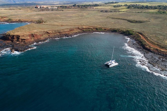Kauai’s Na Pali Coast Snorkel and Sail Tour - Whales, dolphins, turtles: spotting odds and how to stay ready