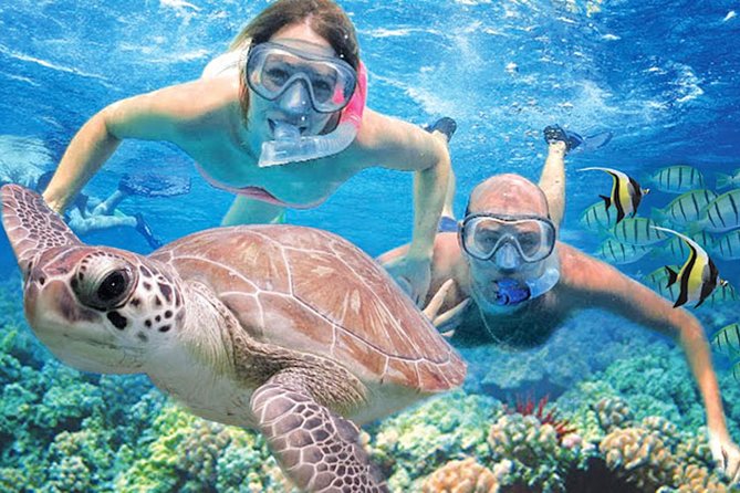Kauai’s Ultimate Guided Shore Snorkel in South Poipu - Key Highlights to Know Before You Go